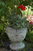 My Gallery: Image
